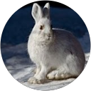 Tom Wurdock profile picture