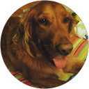 Zack Zingler profile picture